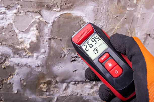 Best Office Mold Removal Services  in Panther Valley, NJ