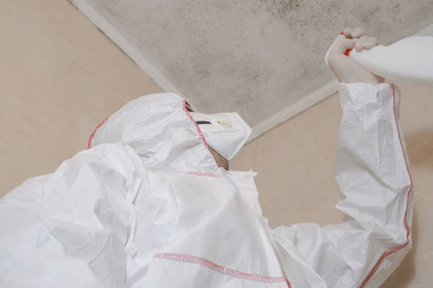 Certified Mold Removal in Panther Valley, NJ